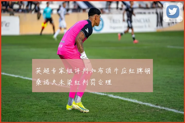 英超专家组评判加布顶牛应红牌胡桑诺夫未染红判罚合理