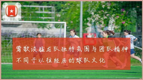 莺歌谈猛龙队独特氛围与团队精神不同于以往经历的球队文化